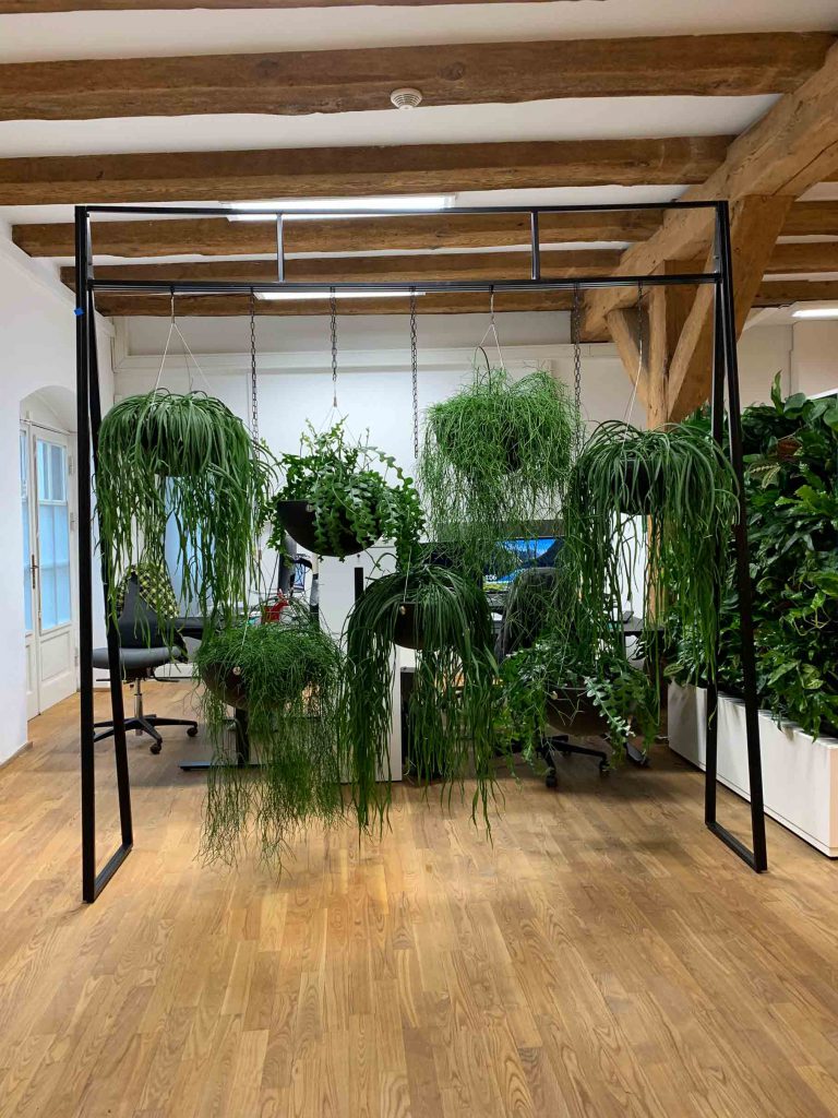 planter på kontor