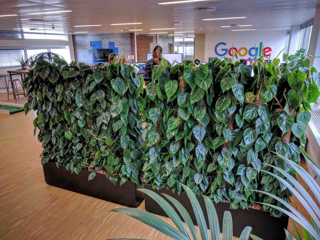 plantevÃ¦g hos Google