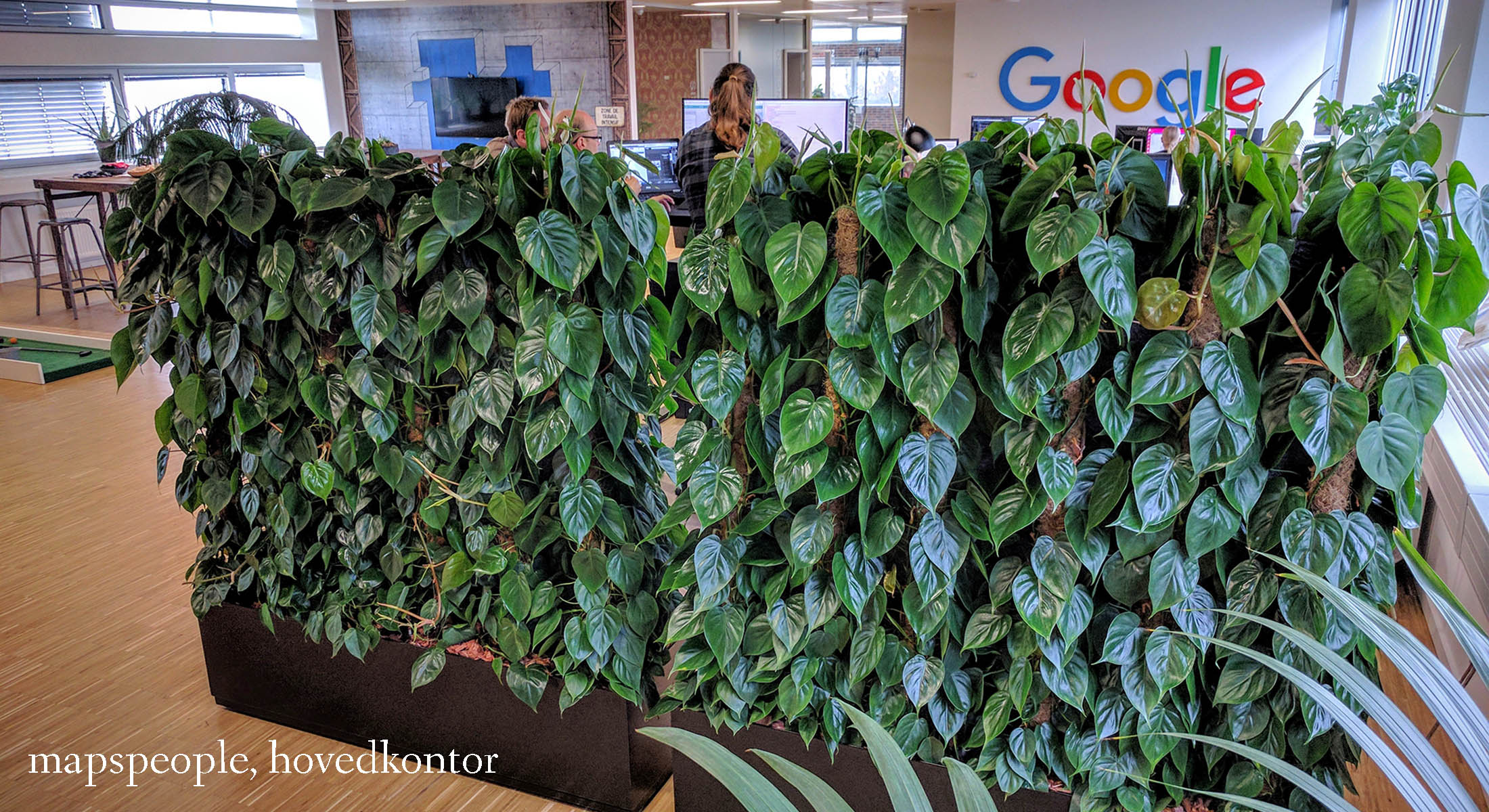 plantevæg til Google